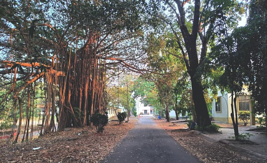 Campus entrance gate