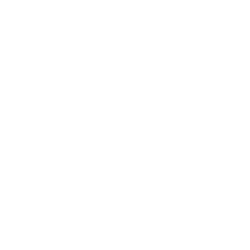Delhi Police